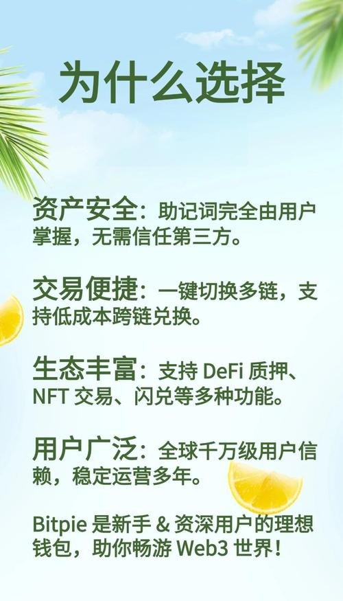 Bitpie钱包APP优势尽显，掌握基础功能实现资产妥善管理