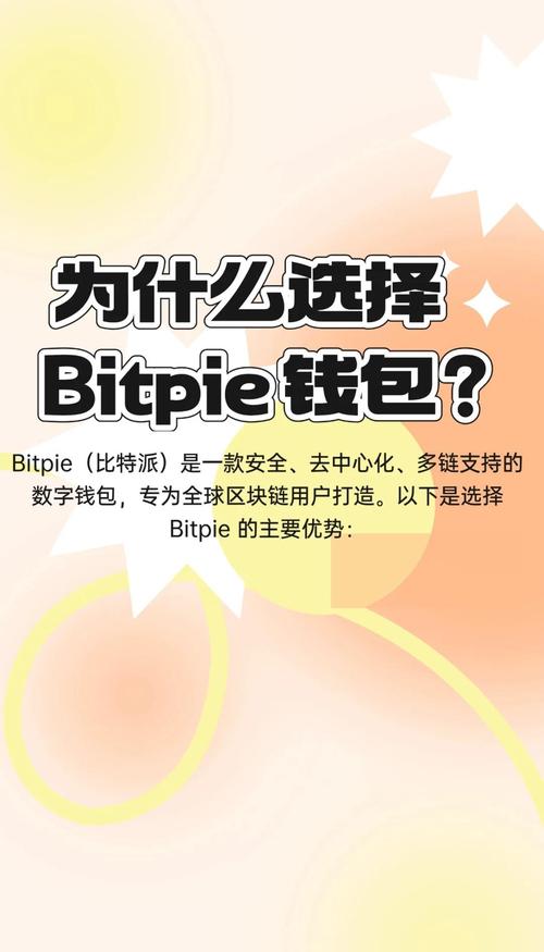 深入分析Bitpie钱包的技术支持与安全保障特点