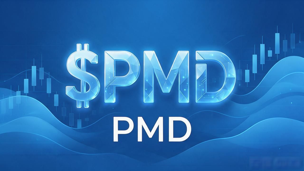 数字货币pmd是什么？pmd投资全解析